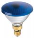 PAR 38 Light Globes / Bulbs – “Coloured BLUE”